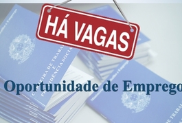 SINE-PI oferece 50 vagas para o mercado de trabalho