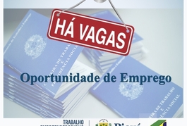 Setre e Sine-PI oferecem mais de 240 vagas de emprego